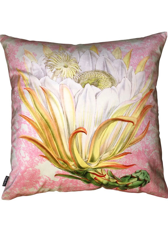 Vanilla Fly Pink Protea Velvet Cushion Cover*