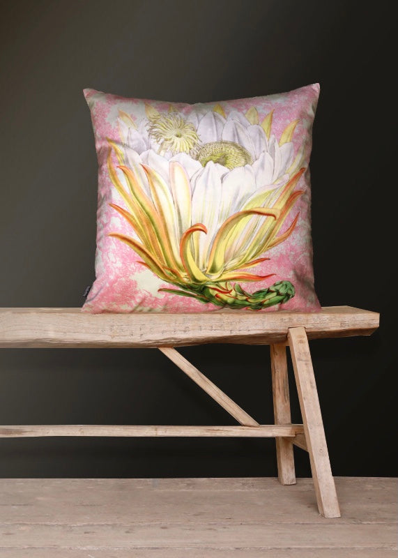 Vanilla Fly Pink Protea Velvet Cushion Cover*