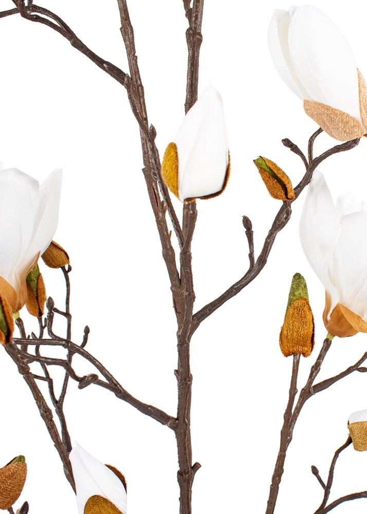 White Magnolias Stem