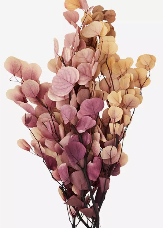 Madam Stoltz Dried Flowers - pink/cream