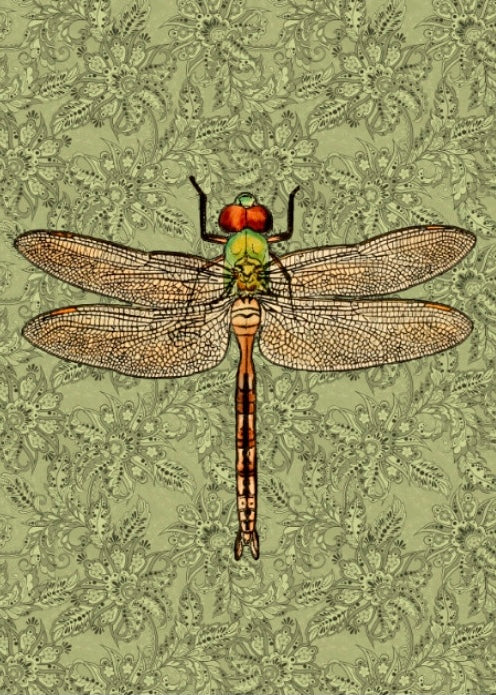 Vanilla Fly Green Dragonfly Poster