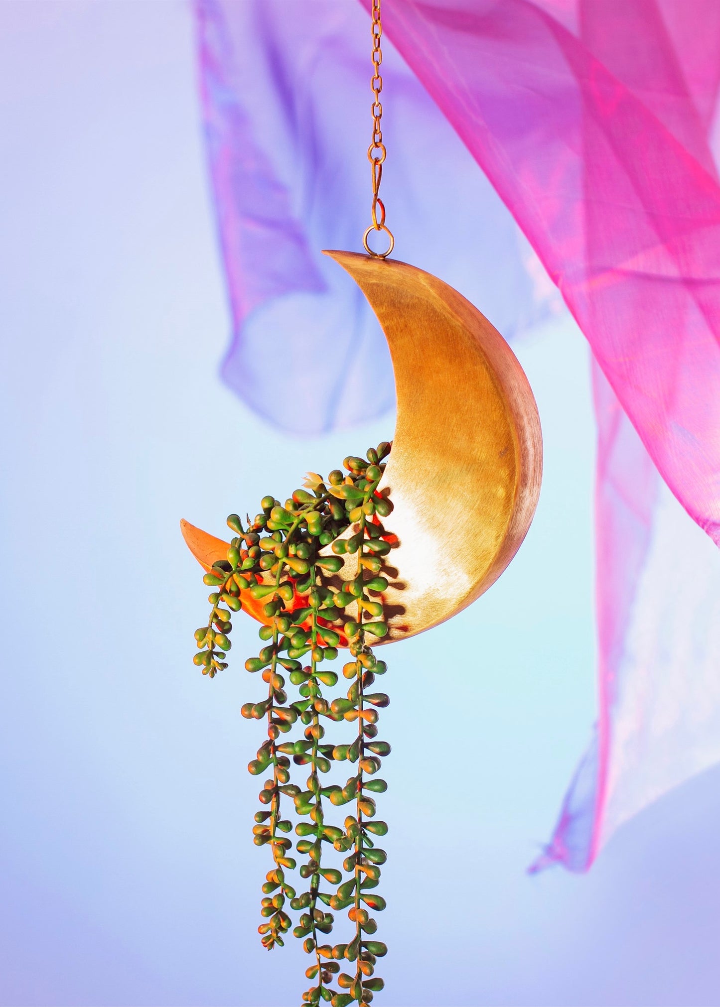 Sass and Belle Celestial Moon Hanging Planter