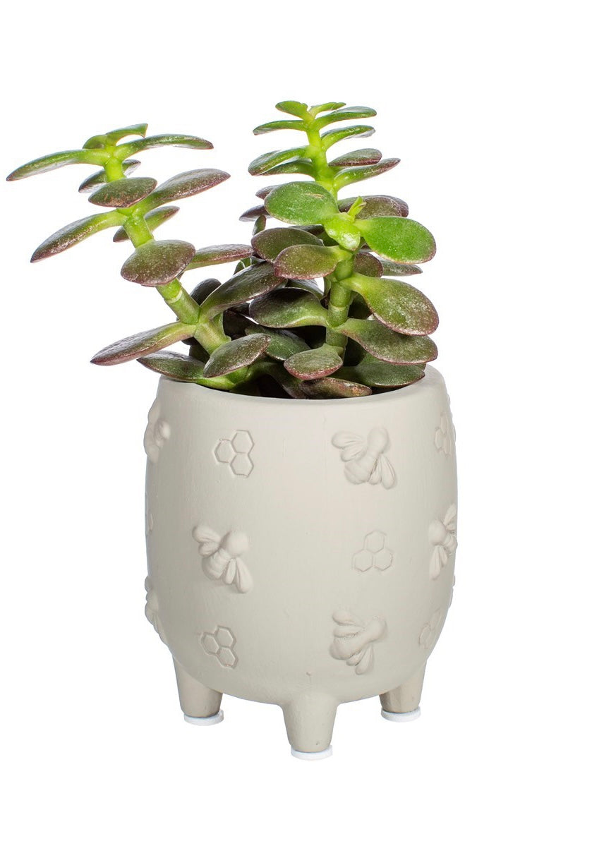 *Sass & Belle Mini Cement Planter With Bees