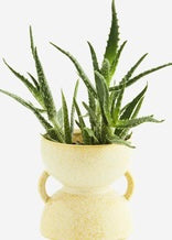 Madam Stoltz small stoneware flower pot - lemon sorbet