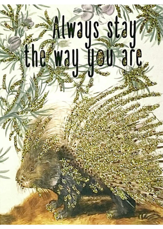 Vanilla Fly ‘Always stay the way you are’ Card