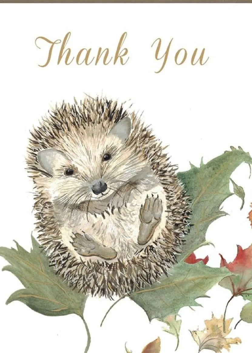 Mr Prickles Hedgehog Thank You Cards