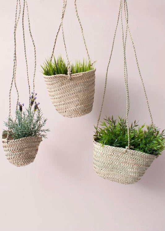 Bohemia Design - Hanging Baskets