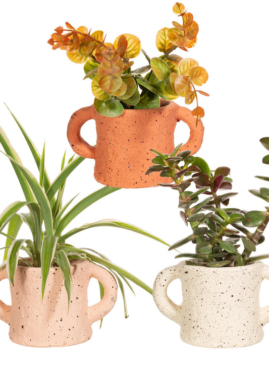 *Sass & Belle Mini Handle Planter - Assorted