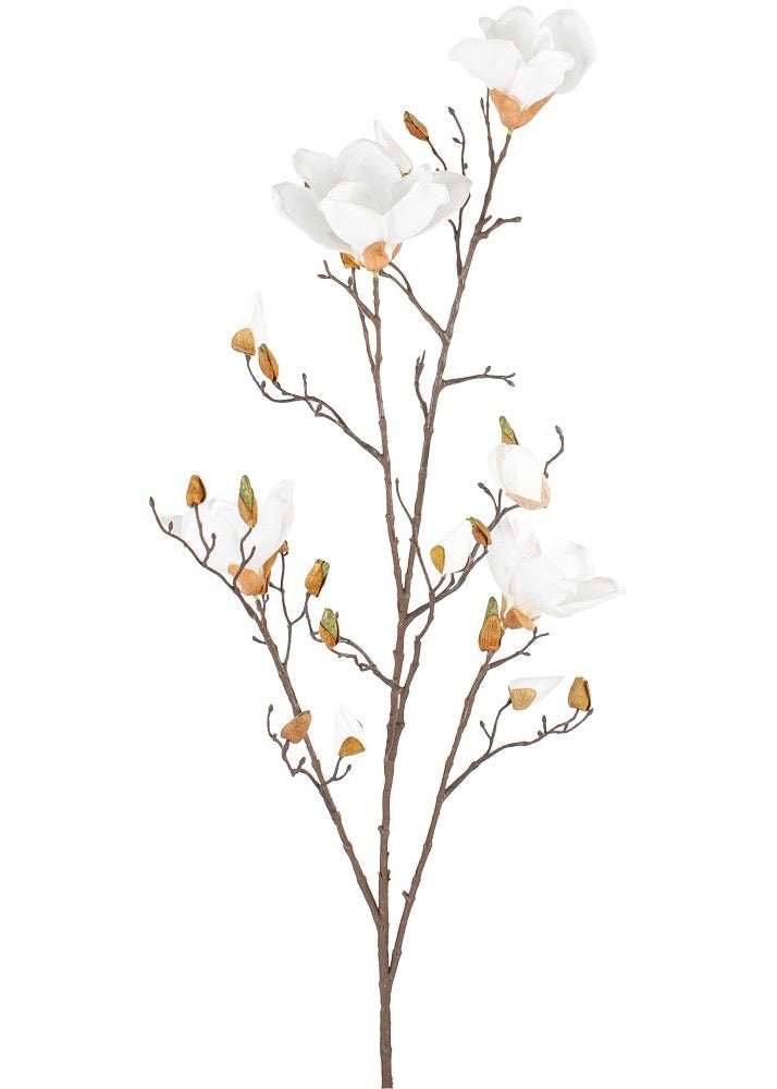 White Magnolias Stem