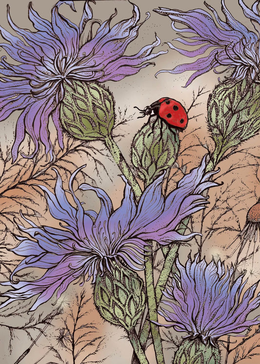 Fay's Studio Ladybird and Cornflowers
