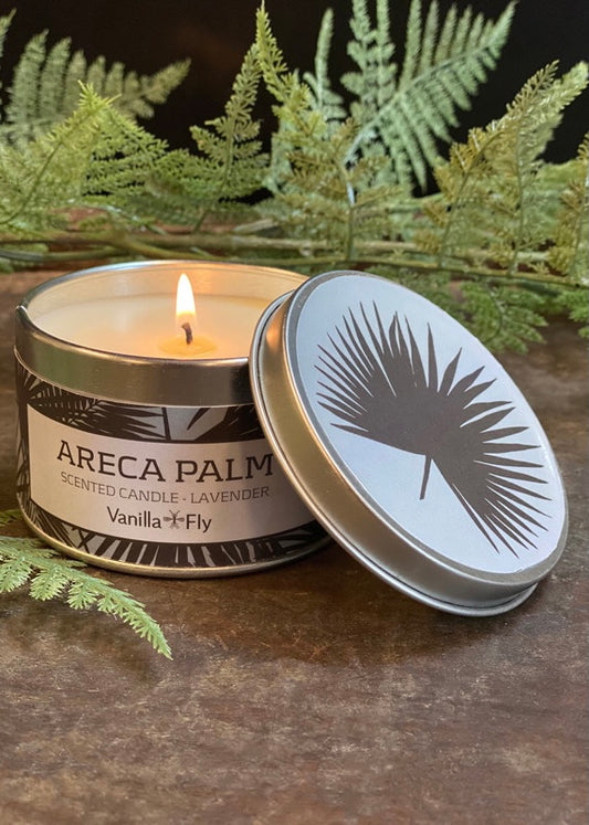 Vanilla Fly Candle - Areca Palm - Lavender