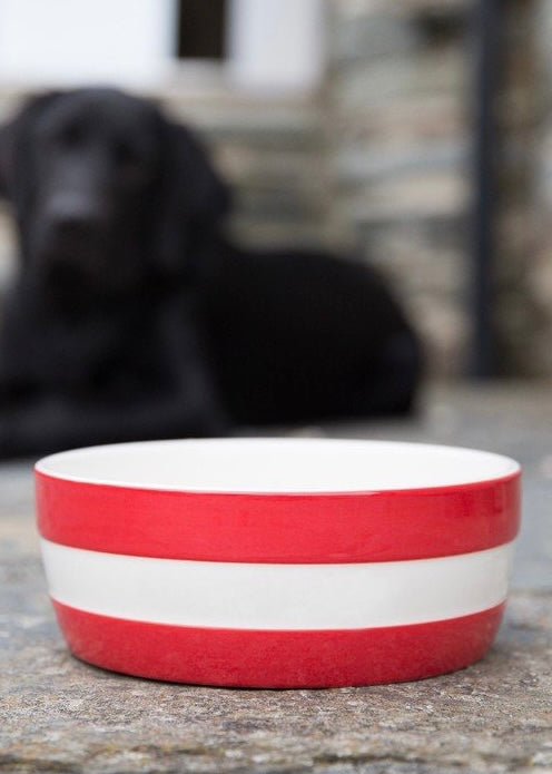 Cornishware Red and White Dog Bowl