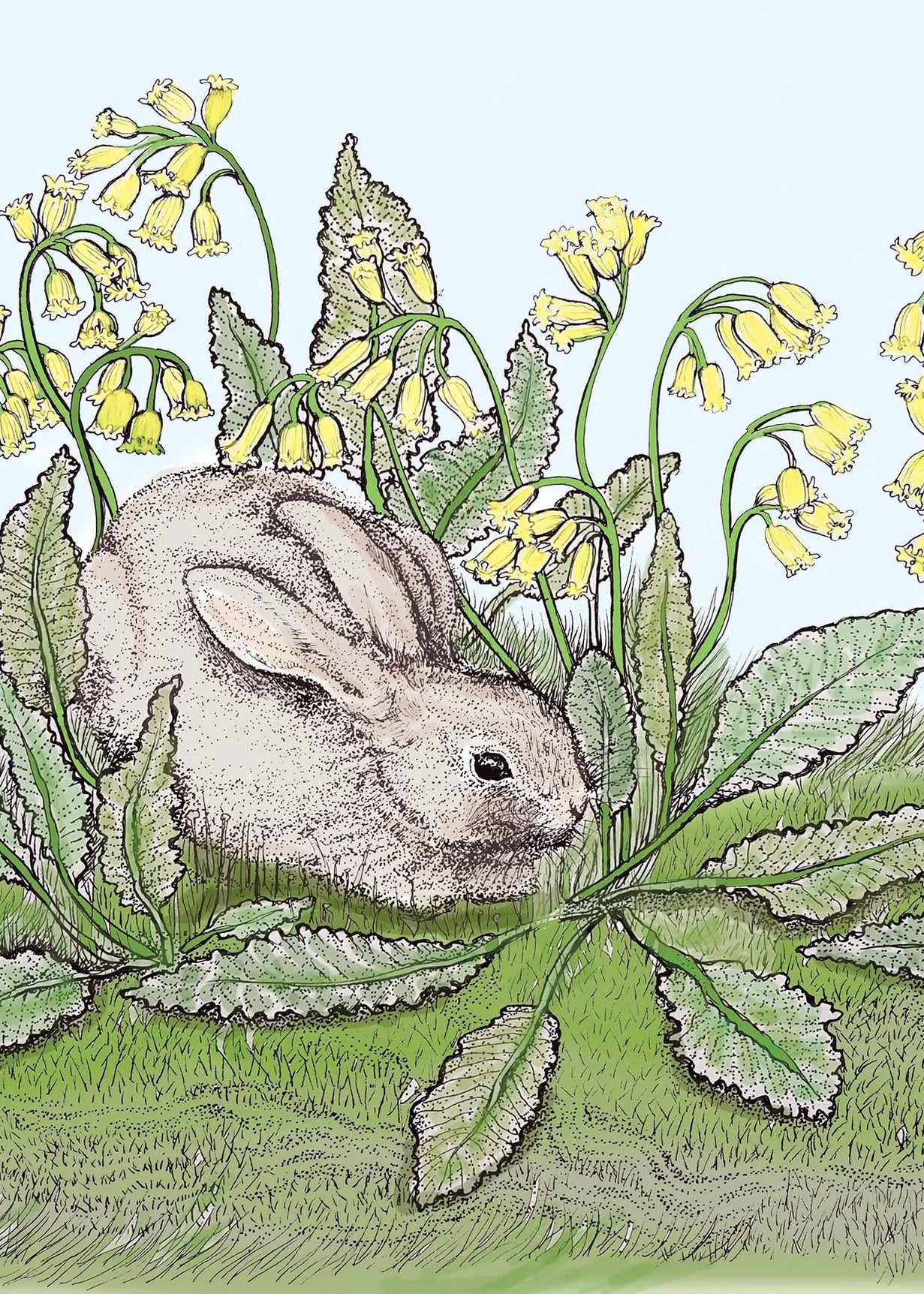 Fay's Studio Rabbit and Cowslips