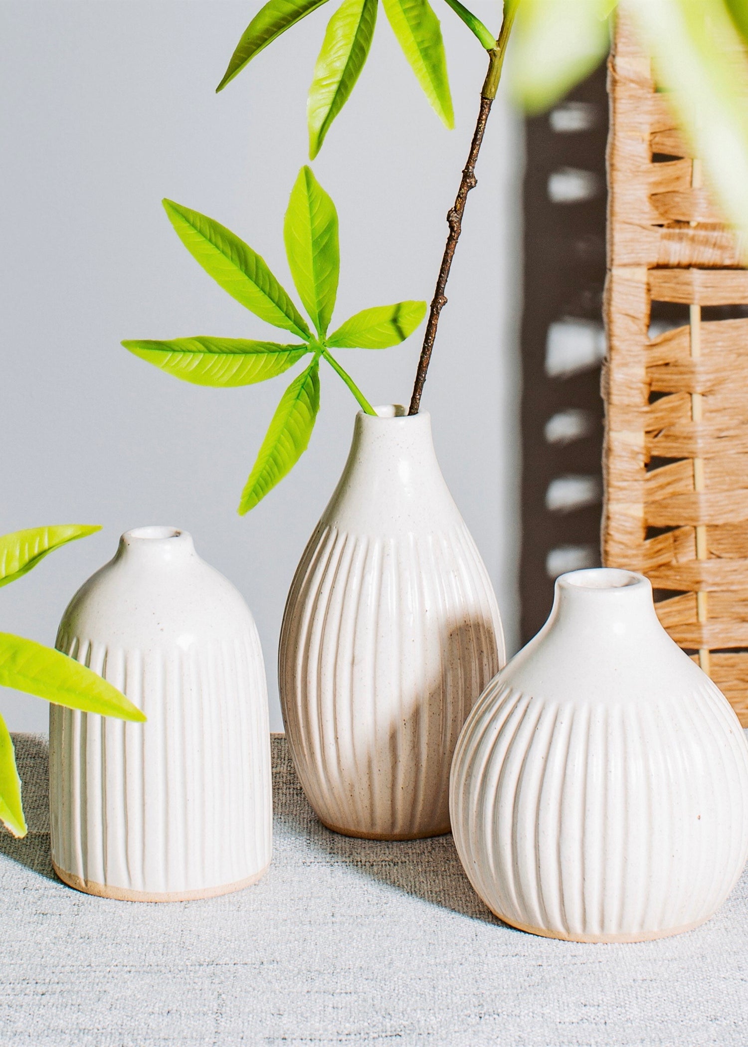 White vases with vertical grooves 