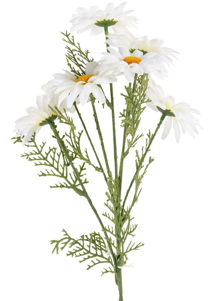 Faux White Transvaal Daisy Stem