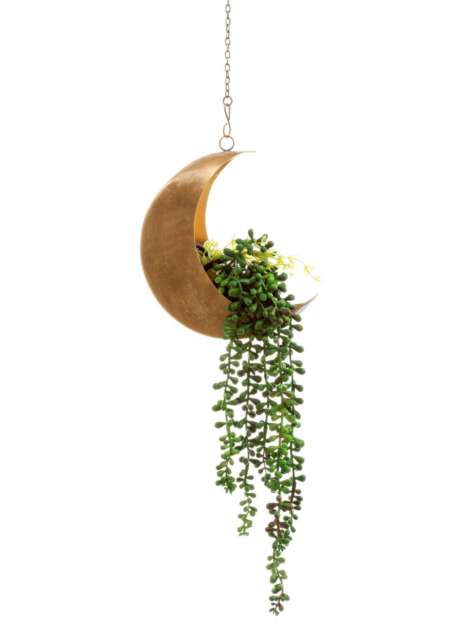 Sass and Belle Celestial Moon Hanging Planter