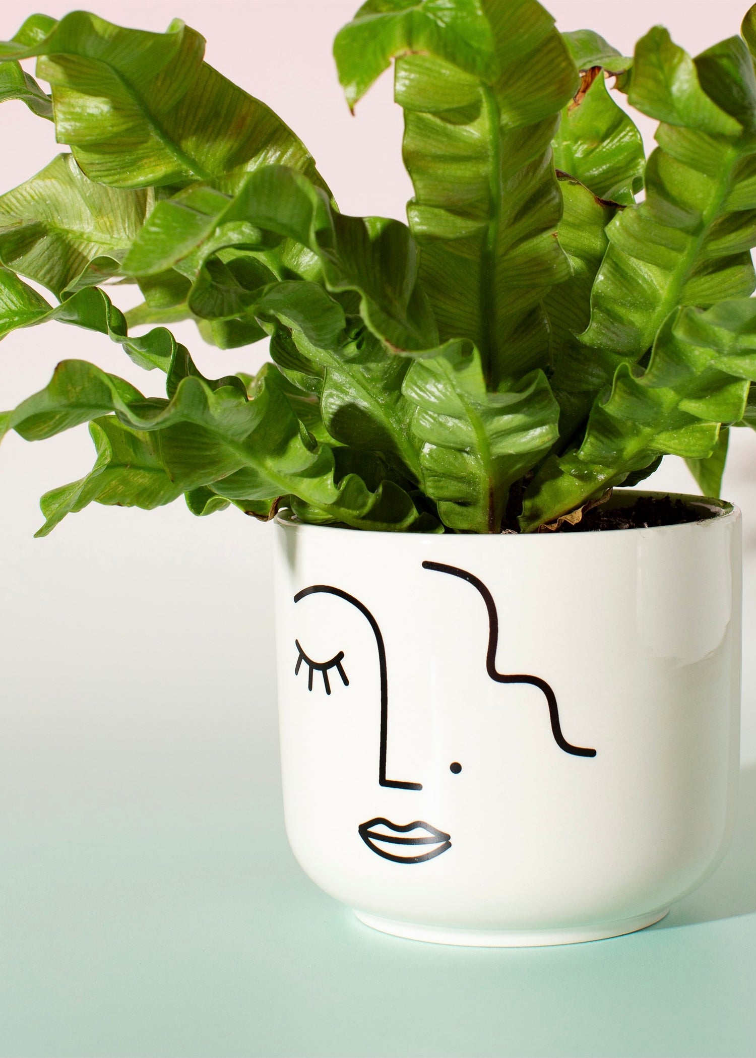 White ceramic planter with black outline abstract face